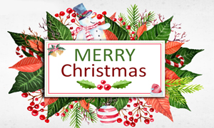 尊龙官网登录人生就是博登录之家宜昌店举行&ldquo;第二届Pick me圣诞装饰大赛&rdquo;