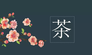 尊龙官网登录人生就是博登录之家宜昌店营业部开展关于茶艺知识培训