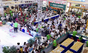 流程复盘 技巧相传&mdash;安徽阜阳店大型运动流程培训圆满完成 